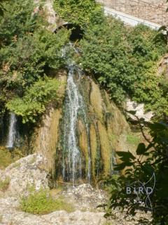 Haven of peace in the Var - Trans-en-Provence - 3