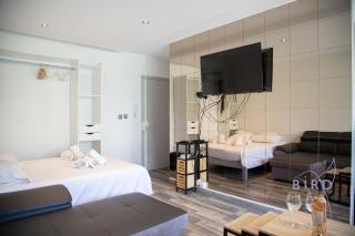 PALM PARADISE next to the Croisette - Cannes - 9