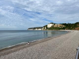 Seascape - Seaton - 3