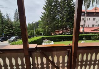 Alpine Oasis - Poiana Brasov Central - Braşov - 8