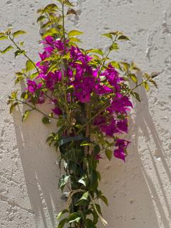 So Magoito - Sintra - 3