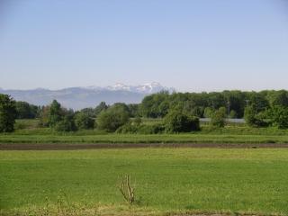 Ferienwohnung Meier - Kressbronn am Bodensee - 5