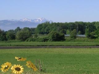 Ferienwohnung Meier - Kressbronn am Bodensee - 6