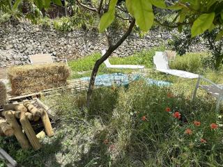 Casa Sangineto - Minori - Costa Amalfitana- A Paradise in the countryside - Minori - 3