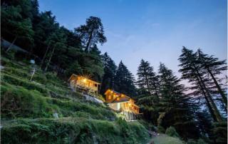 The Conifer FarmHouse Resort, Dalhousie - A Beautiful Wellness Resort in the Lap of Nature - Dalhousie - 5