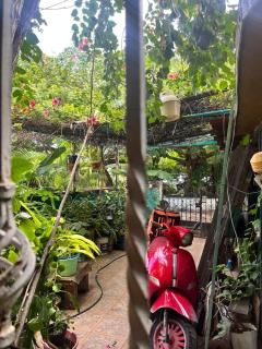 La CASita 28 - Cancún - 3