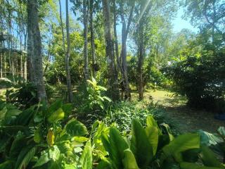 KeereeBanchorn FARMstay - Ban Salak Phet - 4