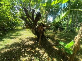 KeereeBanchorn FARMstay - Ban Salak Phet - 1