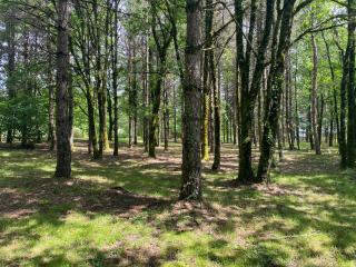 Domaine de Lithos - Fossemagne - 3