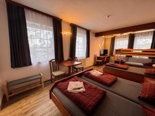 Austria Traveller Hotel Lenzing - Lenzing - 8