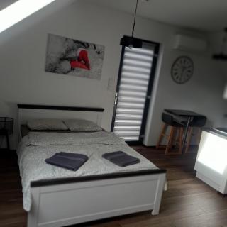 Apartament Muzyczny - Jelenia Góra - 1