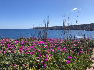 Relaxing Cristal Blu 1Bedroom Apartment B5 sleeps5 - Santa Teresa di Gallura - 6