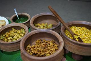 Ekaant Farmstays - Wādhiware - 3