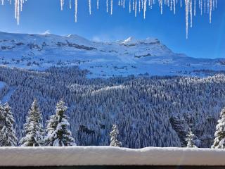 Appartement lumineux au centre de Flaine avec balcon - FR-1-425-184 - 8