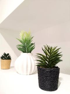 Charming fully restored house near Beauvais and the airport - 6