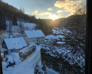 Holiday Home Talblick Zorge - Walkenried - 5