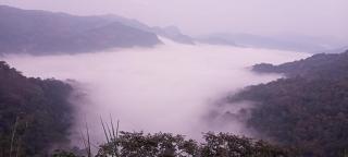 Mistyland - Mamalakandam - 2