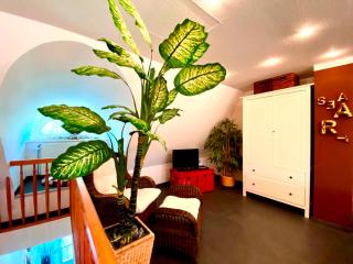Achtern Diek Haus 6 Wohnung 6 - Groß Kirr - 3
