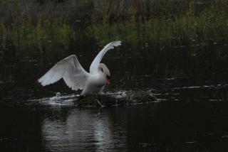 VACANCES A L OCEAN - GRAND T4 VUE MER GRAND BALCON tout confort - WIFI ET PARKING GRATUITS - MER PLAGE PISCINE à environ 25 m - Centre ville, tous commerces, marché, et port à 10 minutes à pied en longeant la mer - 9