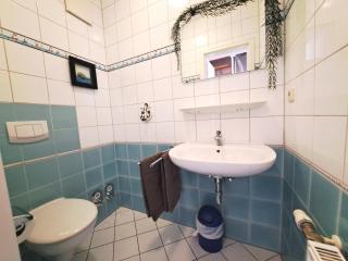 Fischmarkt 1 Wohnung 3 - Zingst - 3