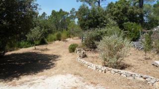Terre de Caliso - Carnoules - 8