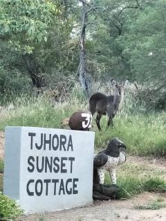 Tjhora Sunset Cottage - - 9