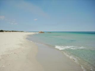Stunning Residence Bouganvillage 1 Bed Apt sleep 4 - Tanaunella - 5