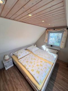 Sonnenblume - Sonne 1 links - Zingst - 1