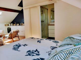Loft chez l'habitant - Reims - 9