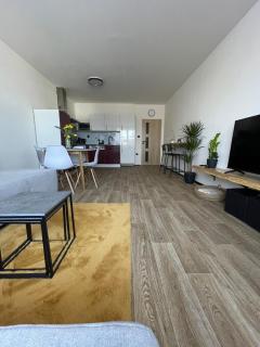 Apartmán Dobrovského - 5