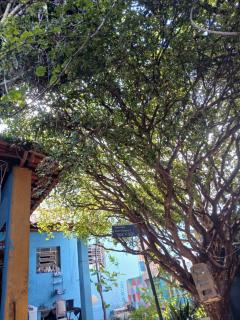 Hostel jabuticaba - Belo Horizonte - 3