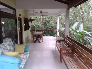 Beach house surrounded by lush nature - 5