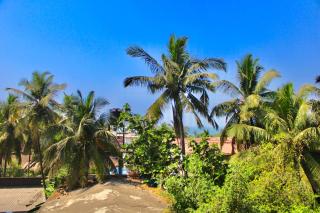 Calangute Beach Corner - Calangute - 7
