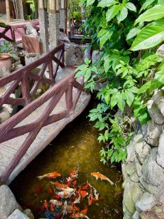 Pook ni Urduja Resort - - 3
