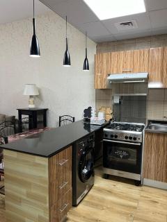 STM VIP Furnished Apartment - Ajman - 3