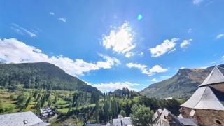 Mimosa 7 - tucasaenlospirineos - 8