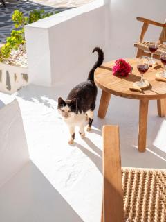 Chanos Luxury Suites Paros - Aliki - 4