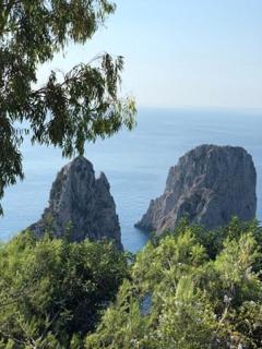 Villacore Capri - Capri - 9