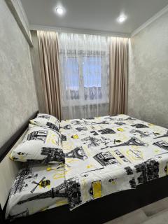 Двухкомнатная квартира в центре Сейфуллина 22 - Balqash - 5