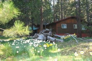 River Song - Wawona - 0
