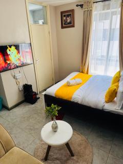 A modern affordable stylish bedsitter centrally located in nairobi - Nairobi - 6