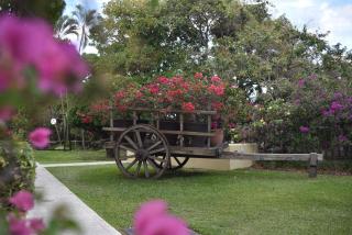 Hotel Mirador Plaza - 9