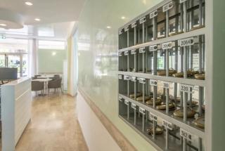 Hotel REX - Misano Adriatico - 1