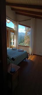 Cabaña las Frutillas - San Martín de los Andes - 9