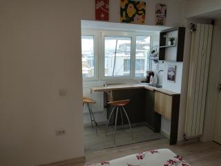 Apartament cochet Piata Victoriei - Bucharest - 4