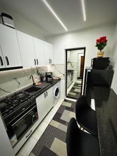 Apartment 1 camera LUX situat la parter in complex ApartHotel Botosani 2 - Botoşani - 2
