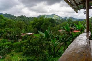 Mi Bohío Trekking - Salento - 6