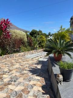 Studio KTED - Bas de villa - Capesterre-Belle-Eau - 9