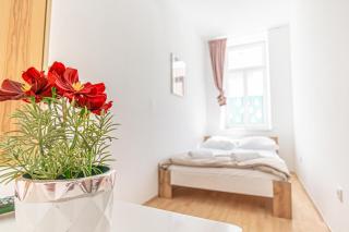 6BR Apartment / Shared Garden near Lorenz Böhler & Danube - Wenen - 4