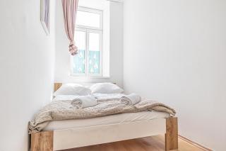 6BR Apartment / Shared Garden near Lorenz Böhler & Danube - Wenen - 1